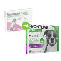 Frontline Combo canine (20-40 Kg) 3 unid.