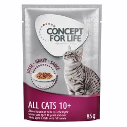 Concept for Life comida húmeda para gatos 24 x 85 g ¡con descuento! - All Cats 10+ en salsa           