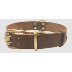 FurryFusion collar de cuero para perro - XXL