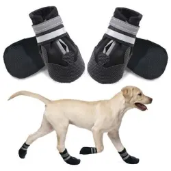 HausPets Juego de 4 botas impermeables XXL para perros, color negro - 1 artículo