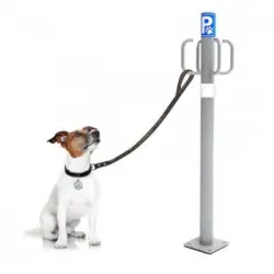 Náyade System Dog Parking Post: Poste Parking Exterior Con 4 Ganchos. Color Gris