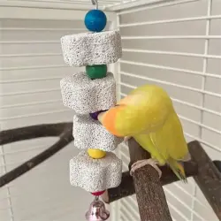 MCBOSON percha para pájaros de piedra pómez - 1 pieza