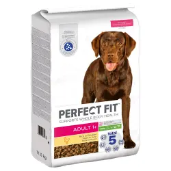 Perfect Fit Adult Dogs (>10kg) - 11,5 kg