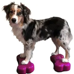 Plataforma de equilibrio para mascotas color Rosa