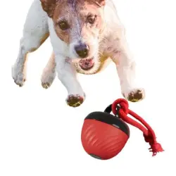 Coco Pup Pelota interactiva para perros - Una pieza