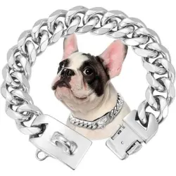 HausPets Collar para perro de acero inoxidable 316 l, 15 mm, plateado, 45 cm - Silbrig 45 cm