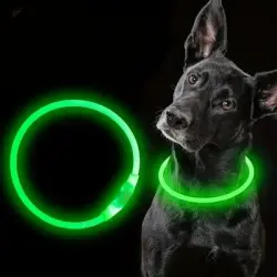 IntiMeg Luz LED USB para collar de perro - Artículo 1