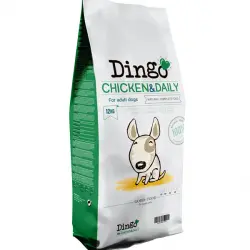 Dingo Pollo pienso para perros