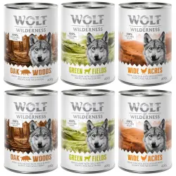 Pack mixto de prueba Wolf of Wilderness - 6 x 400 g, con jabalí, pollo y cordero