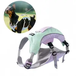 Pet Planet Arnés refrescante para perros de verano - Morado Verde XXL