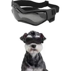 UAMLY Gafas protectoras para perros pequeños - negro