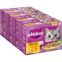 Whiskas 7+ años  48 x 85/100 g en bolsitas - Selección de aves en gelatina - 48 x 85 g