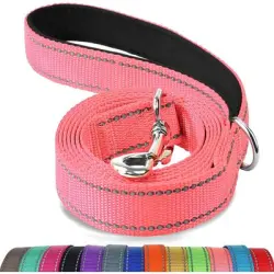HausPets Correa reflectante turquesa para perros de 1,5 m - 1 artículo