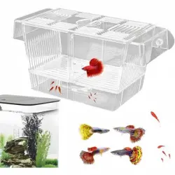 ZooVenture Caja de aislamiento transparente para acuario - L
