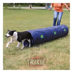 Túnel corto de agility para perros