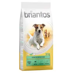 Briantos Adult Mini Cordero y arroz - 14 kg