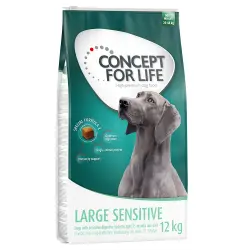 Concept for Life Large Sensitive - 12 kg