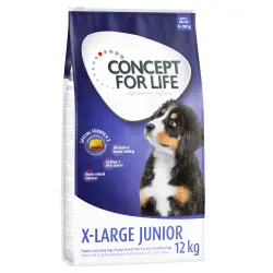 Concept for Life pienso para perros 12 kg ¡con 5€ de descuento! - X Large Junior (12 kg)