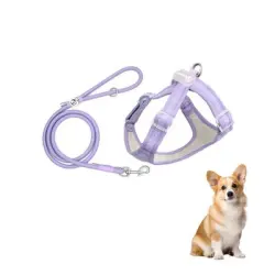 ZooVenture Conjunto de arnés y correa para perros - S