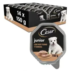 Cesar Junior Comida Húmeda Para Cachorros en Gelatina con Pavo y Ternera, 14 x 150 gr