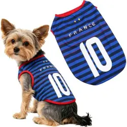 HausPets Camiseta de fútbol para perros - Francia - Francia-2XL