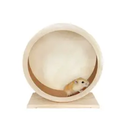 IntiMeg Rueda silenciosa para roedores - Diámetro promedio 19,5 cm