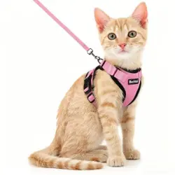 ZooVenture Arnés reflectante ajustable para gatos - rosa - s