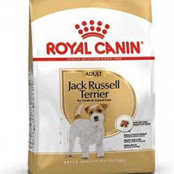 Royal Canin Jack Russell Terrier Adult 500 gr