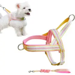 UAMLY Arnés para perro con correa (rosa) - Rosa S