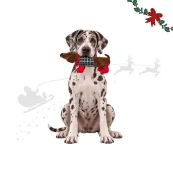 Wonder Christmas Perro Salchicha XL Peluche para perros 60 x 22 x 11 cm