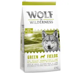 Wolf of Wilderness Green Fields con cordero - 12 kg