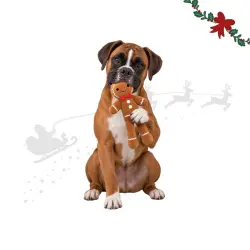 Wonder Christmas Muñeco Jengibre XL Peluche para perros 60 x 23 x 7 cm