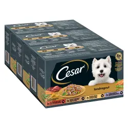 Cesar Country Kitchen Favoritos Pack Mixto - 24 x 150 g
