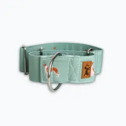 La Casa de Turrón Collar Martingale de Algodón 5cm ancho para Galgos y Lebreles - Antiescape y Ajuste Seguro - 28 - 38 cm