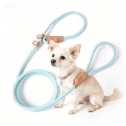 ZooVenture Correa sin collar - Nylon, asa, reflectante - Azul claro, 1,8 metros x 1 cm