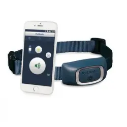 Collar De Entrenamiento Petsafe Smart Dog - Bluetooth - Azul - Para Perros