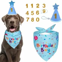 FurryFusion Decoración de cumpleaños para perros con gorro numerado - Artículo 1