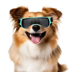 IntiMeg Gafas de sol para perros pequeños - Una pieza