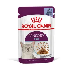 Royal Canin Sensory Feel en gelatina - 12 x 85 g