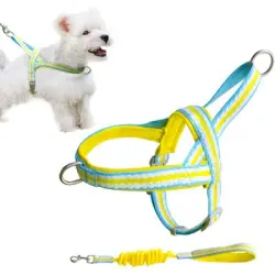 UAMLY Arnés para perro con correa (amarillo) - Amarillo M