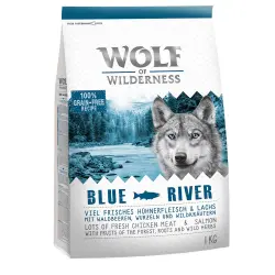 Wolf of Wilderness Blue River con salmón - 1 kg