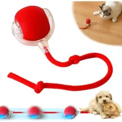 Pawffee Pelota interactiva automática gatos, rodante, juego estimulación - 1 pieza