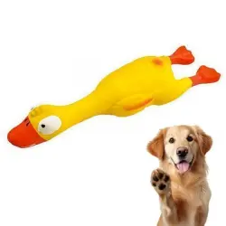 Pawffee s chirriantes para perros: 2 patitos de látex resistentes. - 22×4cm