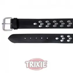 Trixie Collar Active Con Remaches XL
