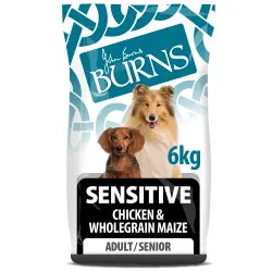 Burns Adult & Senior Sensitive - Pollo y Maíz Integral - 6 kg