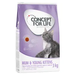 Concept for Life Mum & Young Kittens pienso para gatos - 3 kg - Receta mejorada