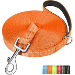 HausPets Correa reflectante ligera para perros de 5 m, 250 kg - 5M