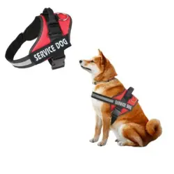 IntiMeg Arnés y correa para perros grandes - XS 36-50 cm