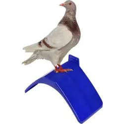 UAMLY Perchas para palomas, soportes para perchas de pájaros - 10 artículos