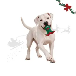 Wonder Christmas Pulpo Látex  para perros 13 x 12.5 x 12 cm